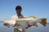 95cm barra, released